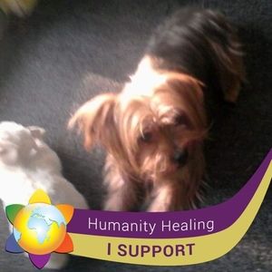 Meet your Posher, Beverlyann